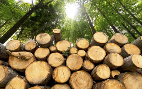 1075-logs3x